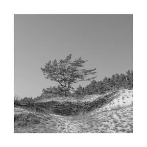 在线观看韩本无码成人🔞软件
